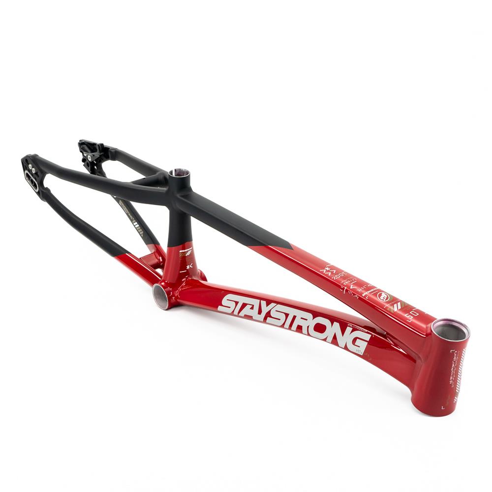 Stay Strong For Life V5 Cruiser XXL Frame 2025 – Source BMX - US