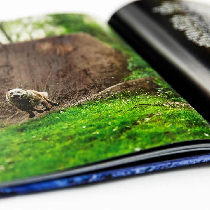 Maintain IV.V - Derailed Book and DVD Combo