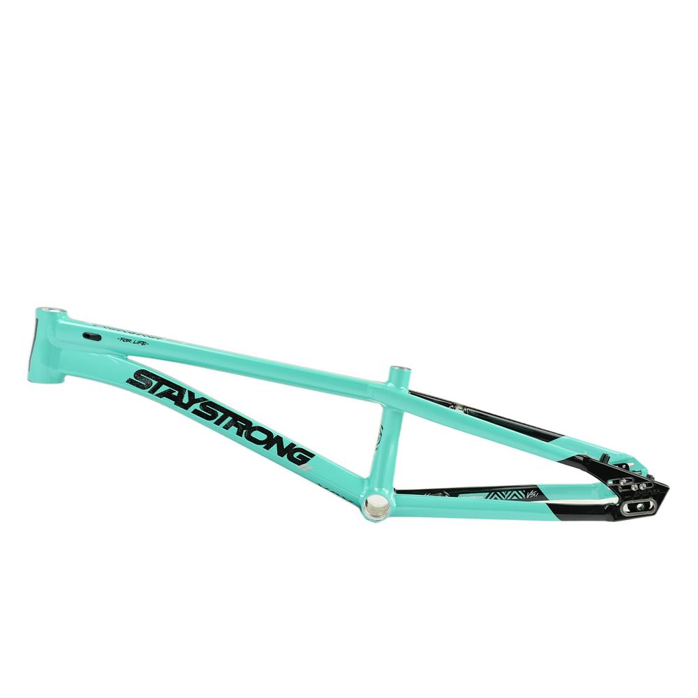 Stay Strong For Life V5.1 Pro XXL Frame – Source BMX - US