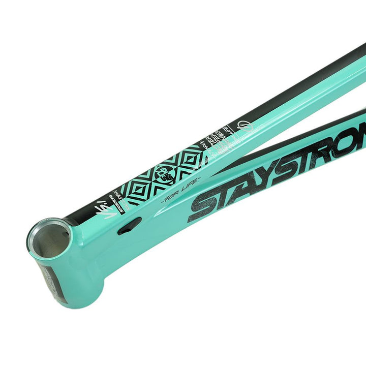 Stay Strong For Life V5.1 Pro XXXL Frame
