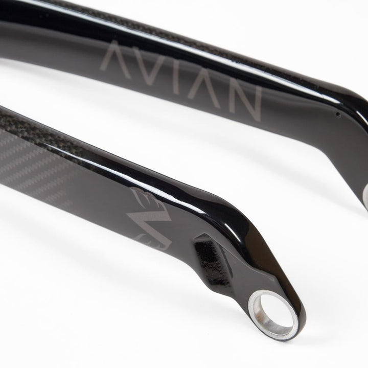 Stay Strong X Avian Contro  Cruiser 24'' Forks da corsa - Gloss / Dropout da 20 mm