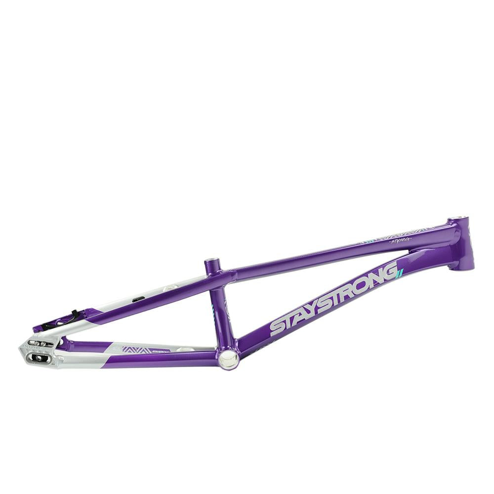 Stay Strong For Life V5.1 Pro XXL Cruiser Frame – Source BMX - US