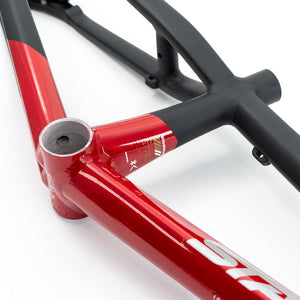 Stay Strong For Life V5 Pro XL Frame 2025