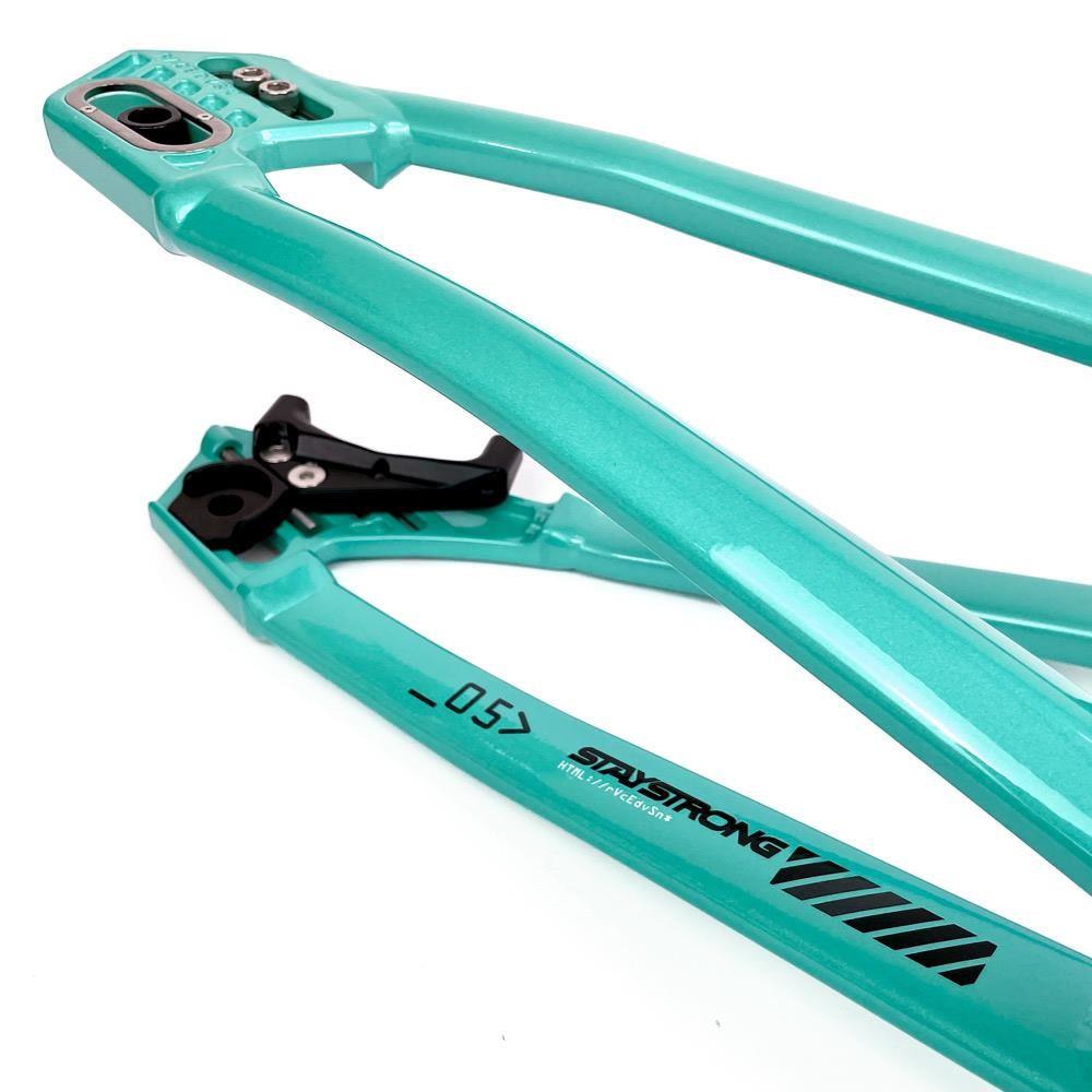 Stay Strong For Life 2024 V5 Pro Race Frame - Disc Version
