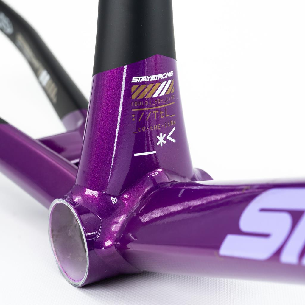 Stay Strong For Life V5 Pro XXXXL Frame 2025