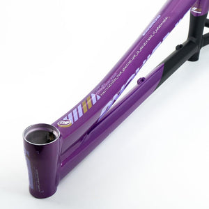 Stay Strong For Life V5 Pro XL Frame 2025