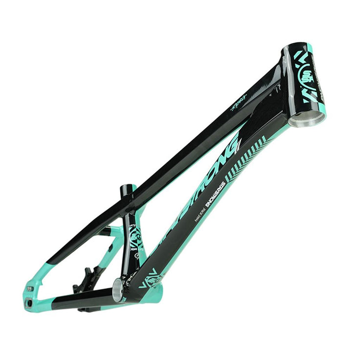Stay Strong For Life V5.1 Pro Frame