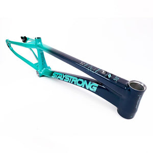 Stay Strong For Life 2024 V5 Pro XL Race Frame - Disc Version