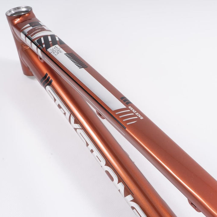 Stay Strong Per la vita 2023 V4 Junior Frame di gara - Disco Versione