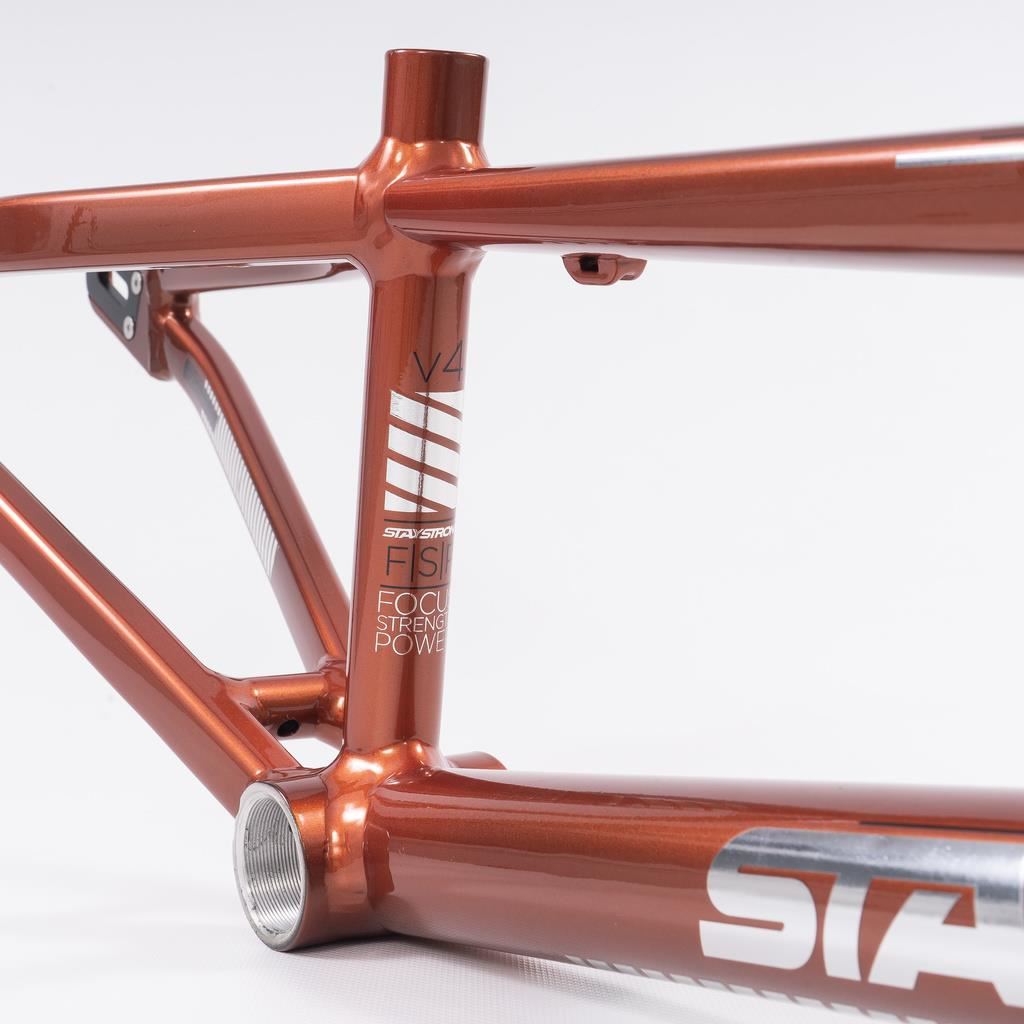 Stay Strong Per la vita 2023 V4 Junior Frame di gara - Disco Versione