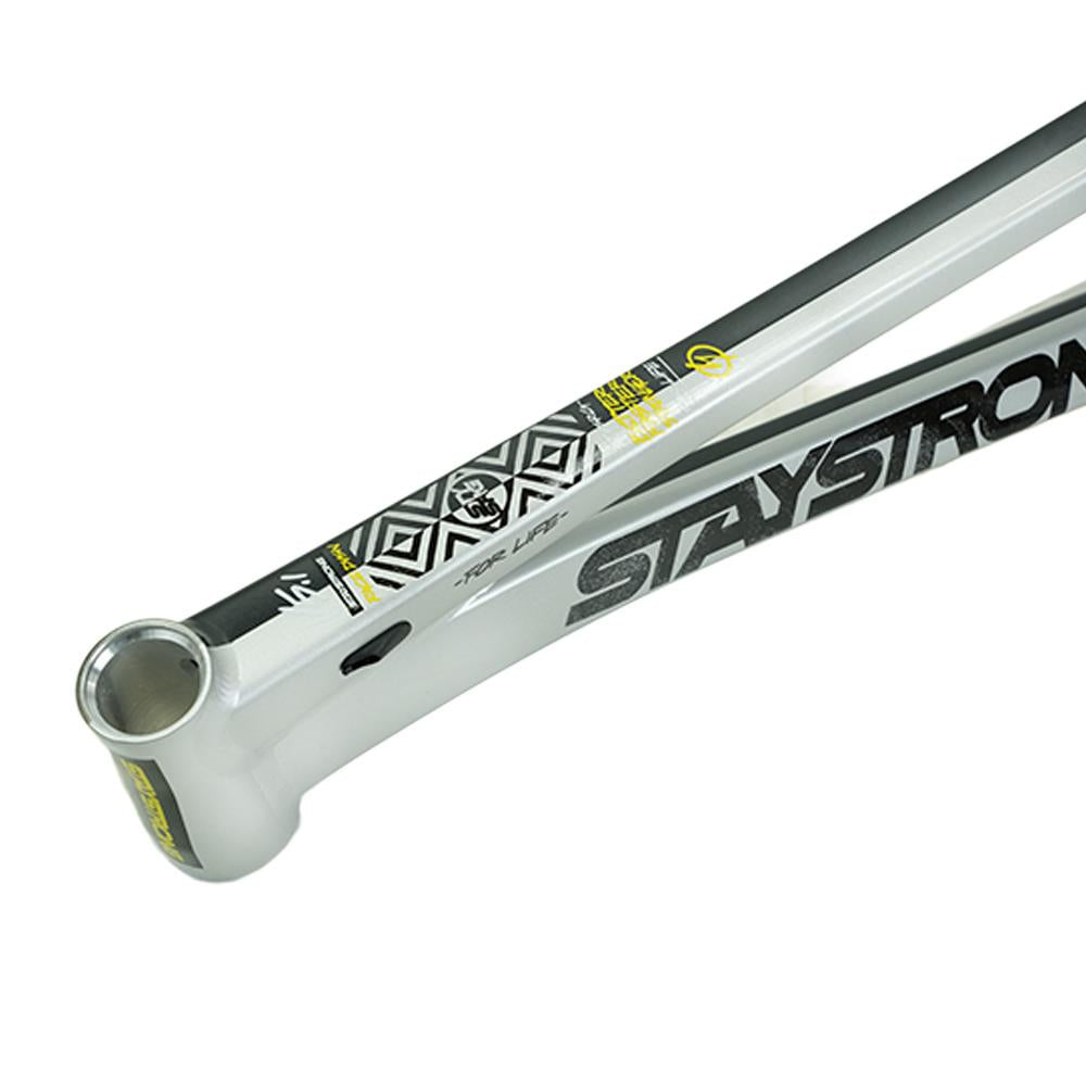 Stay Strong For Life V5.1 Pro XL Frame – Source BMX - US