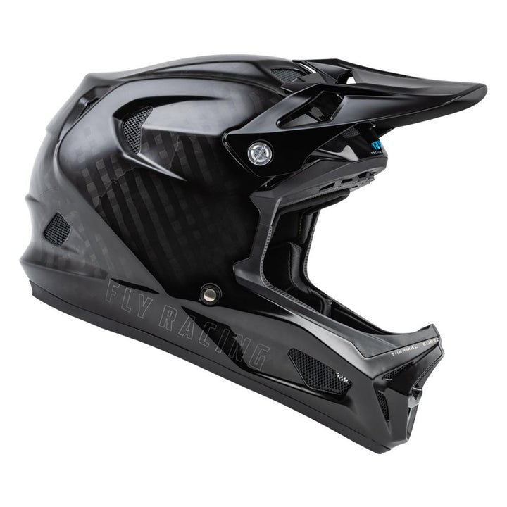Fly Racing Werx-R Carbon Solid Helmet - Black Carbon