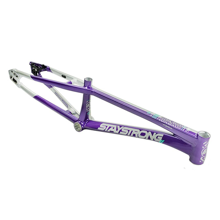 Stay Strong For Life V5.1 Pro Cruiser Frame