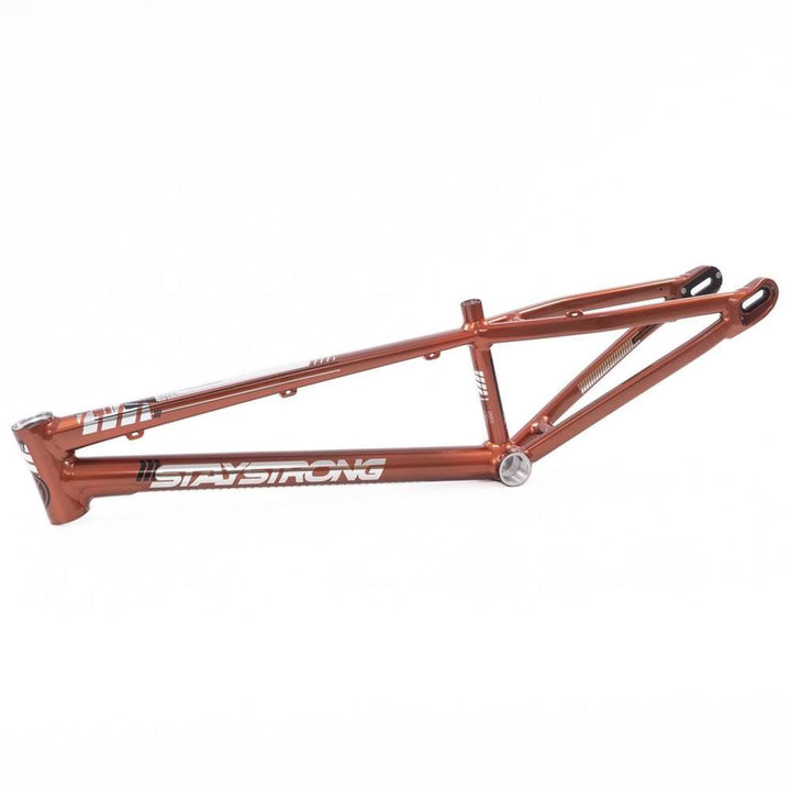 Stay Strong Per la vita 2023 V4 Junior Frame di gara - Disco Versione