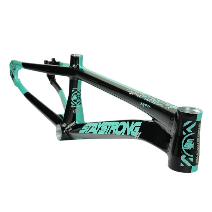 Stay Strong For Life V5.1 Pro Cruiser Frame