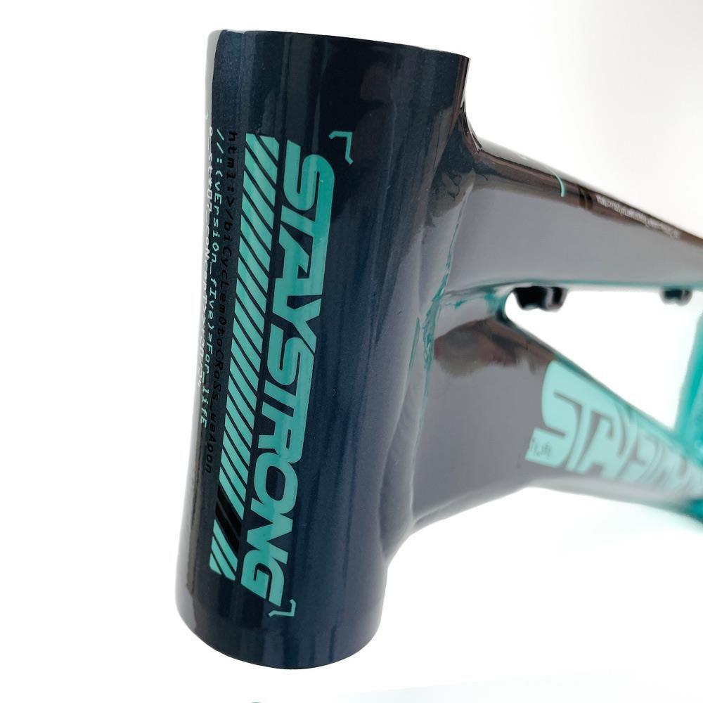 Stay Strong Per la vita 2024 V5 Expert Frame di gara - Disco Telaio