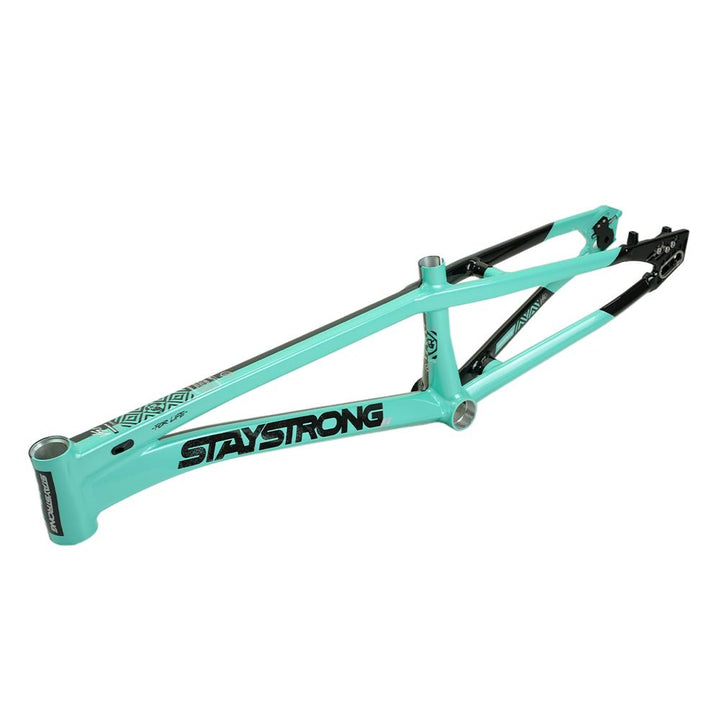 Stay Strong For Life V5.1 Pro XXL Cruiser Frame