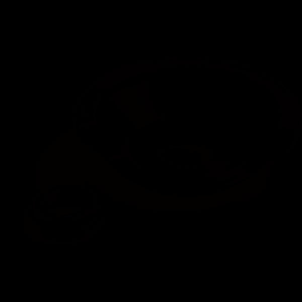 Wethepeople Helix DSG Nylon Rear Hub Guard