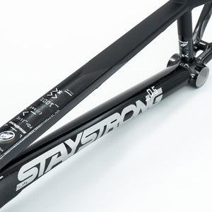 Stay Strong For Life V5 Mini Frame 2025