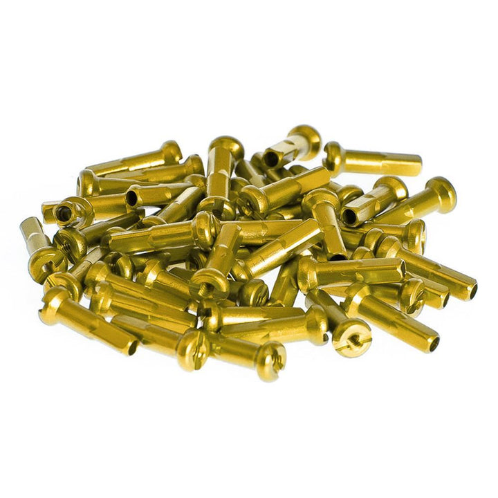 Salt Pro Capezzoli parlati