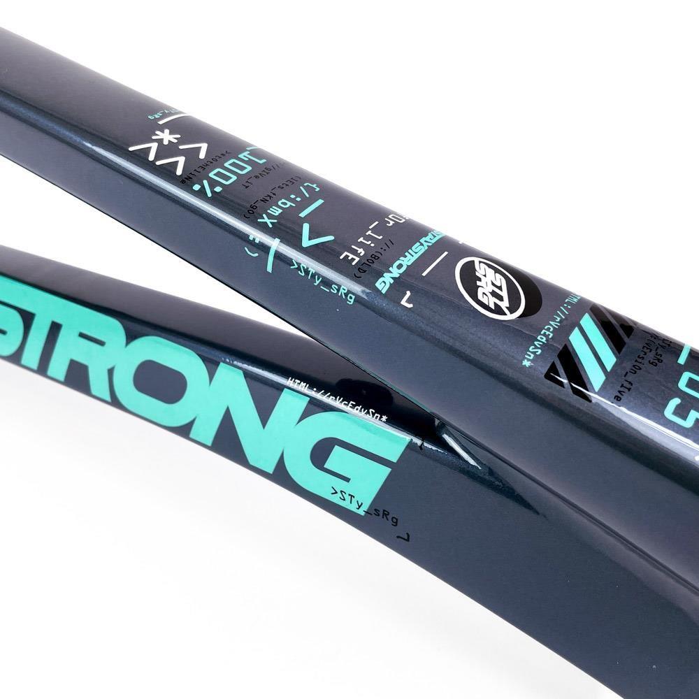 Stay Strong For Life 2024 V5 Pro XXL Race Frame - Disc version