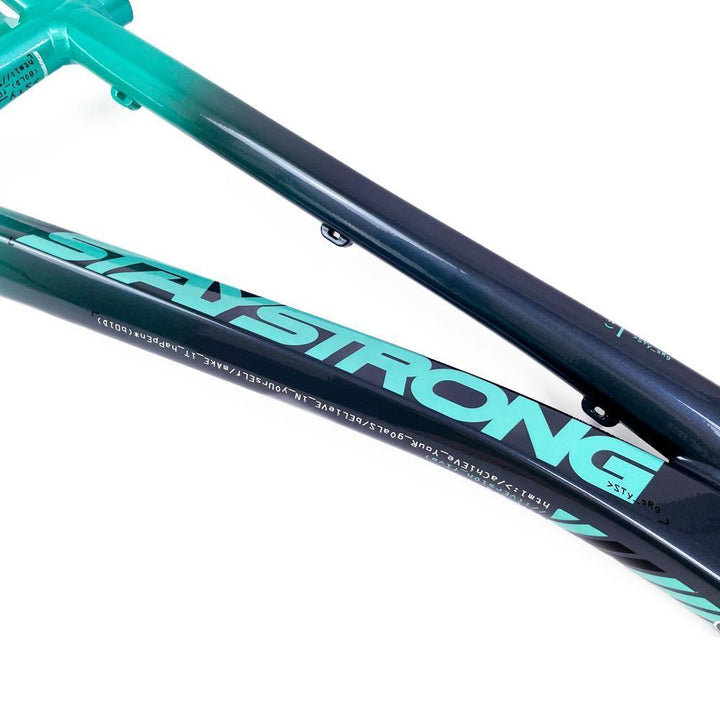 Stay Strong For Life 2024 V5 Pro XL Race Frame - Disc Version