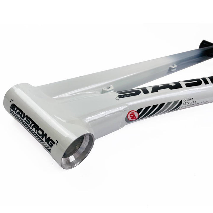 Stay Strong Per la vita 2024 V5 Expert Frame di gara - Disco Telaio
