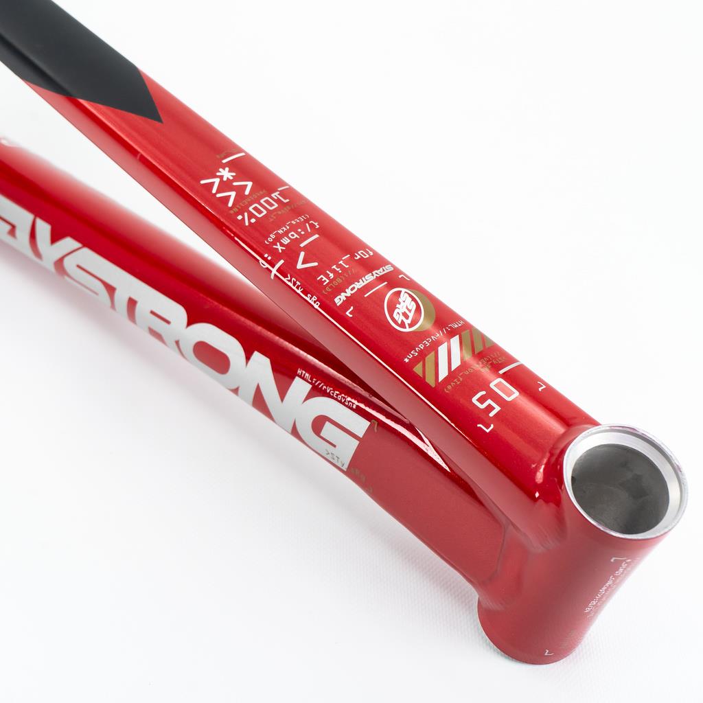 Stay Strong For Life V5 Mini Rahmen 2025