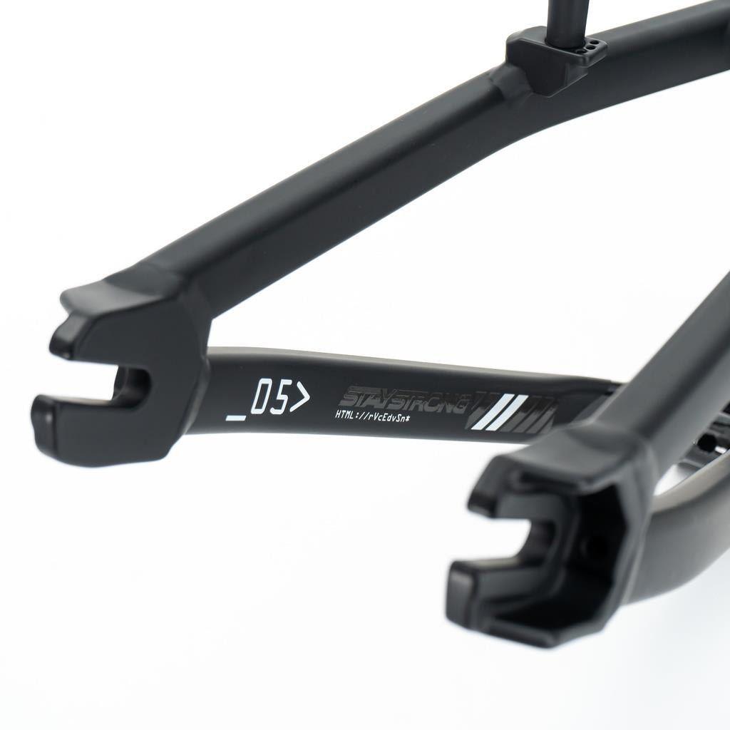 Stay Strong For Life V5 Expert XL Frame 2025 V-Brake - Black/Black
