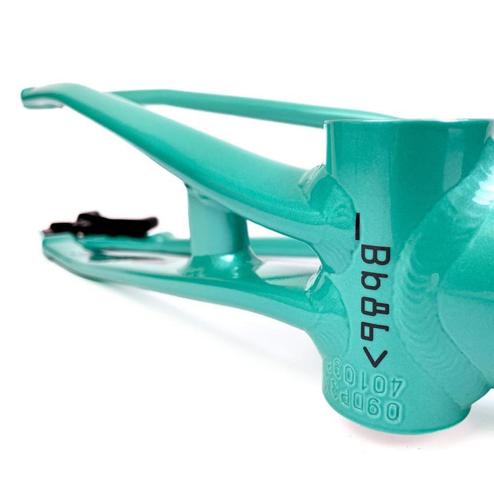 Stay Strong For Life 2024 V5 Pro XXL Race Frame - Disc version