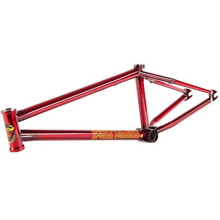 S&M Hoder BTM Frame
