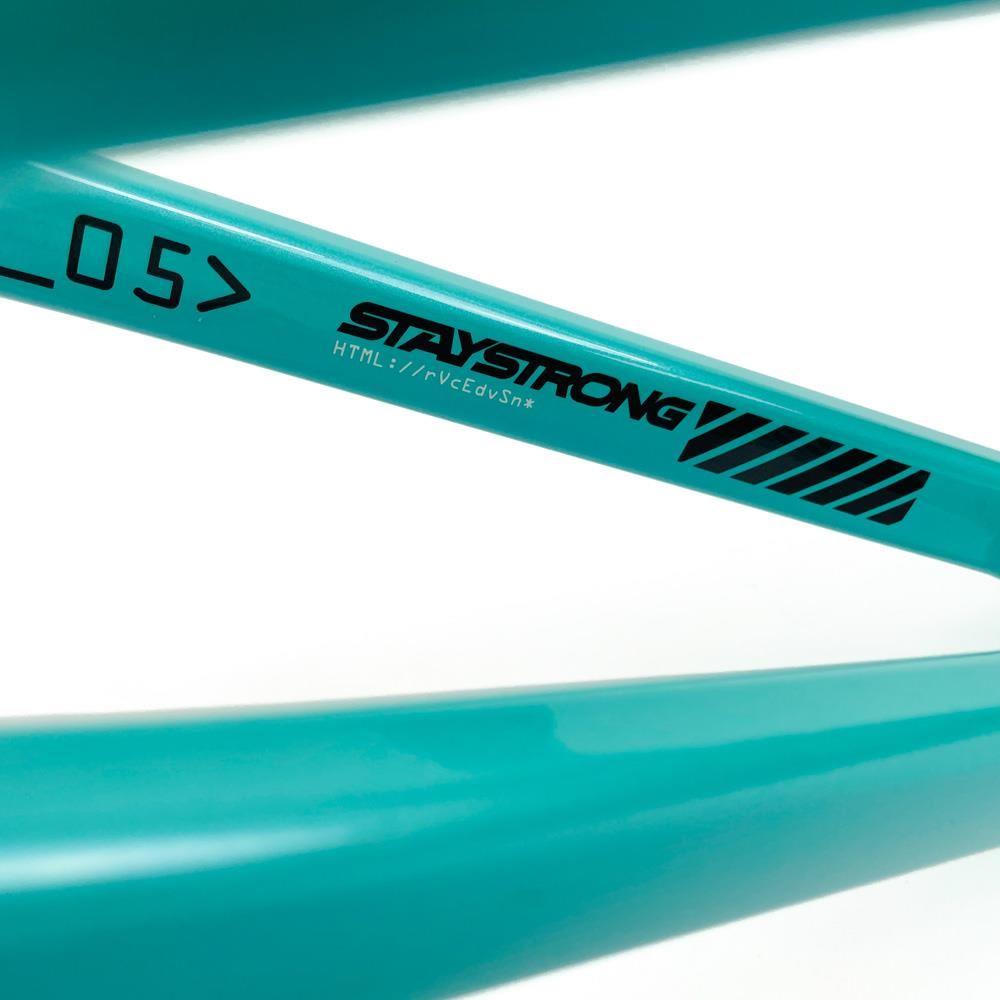Stay Strong Per la vita 2024 V5 Expert Frame di gara - Disco Telaio