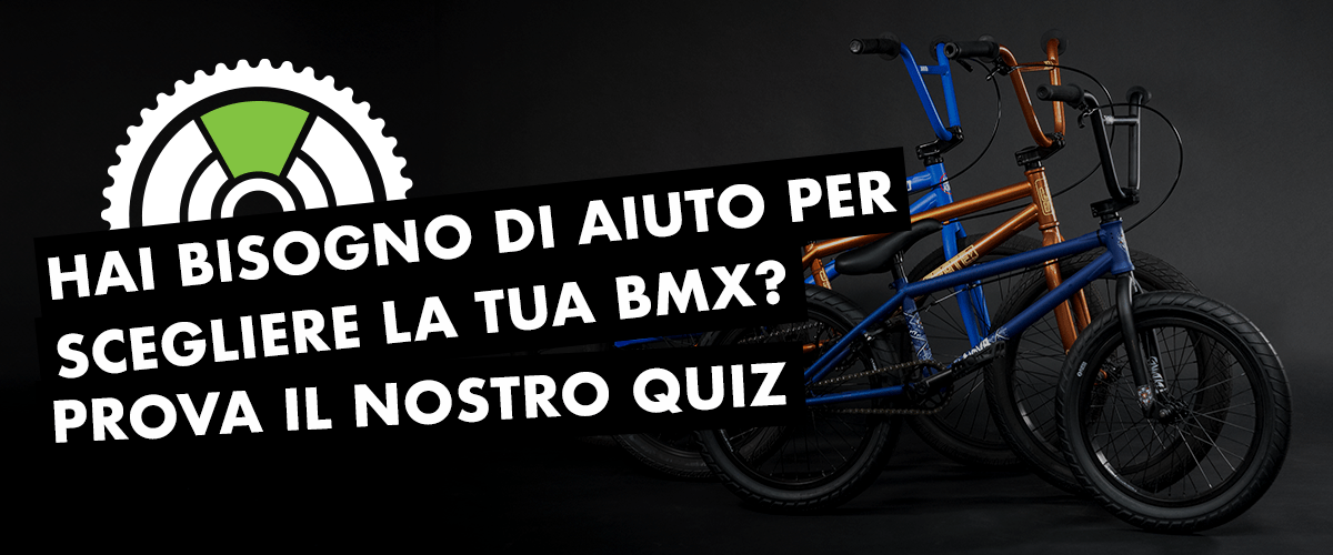 Quiz sulla bici