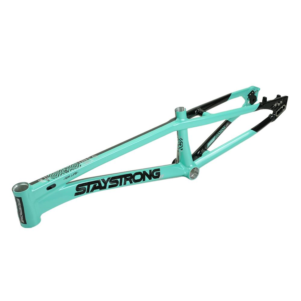 Stay Strong For Life V5.1 Pro Frame