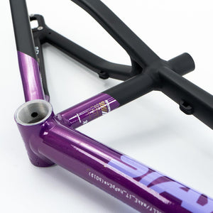 Stay Strong For Life V5 Mini Frame 2025