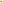Rant Trille Potence Top-Load Tige