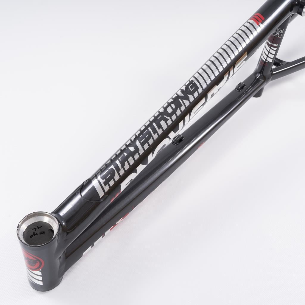 Stay Strong Per la vita 2023 V4 Junior Frame di gara - Disco Versione