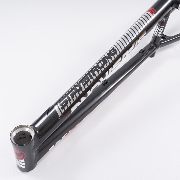 Stay Strong Per la vita 2023 V4 Junior Frame di gara - Disco Versione