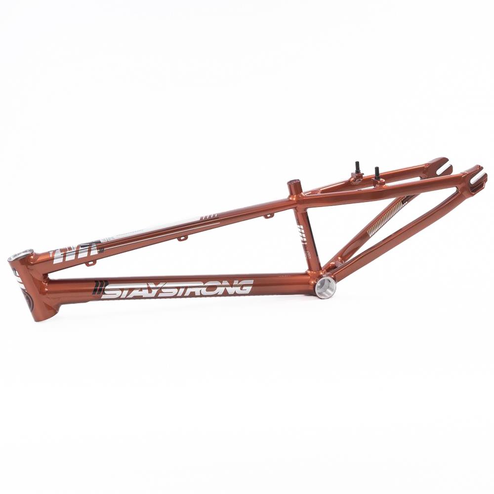 Stay Strong For Life 2023 V4 Cruiser Expert XL Race Frame