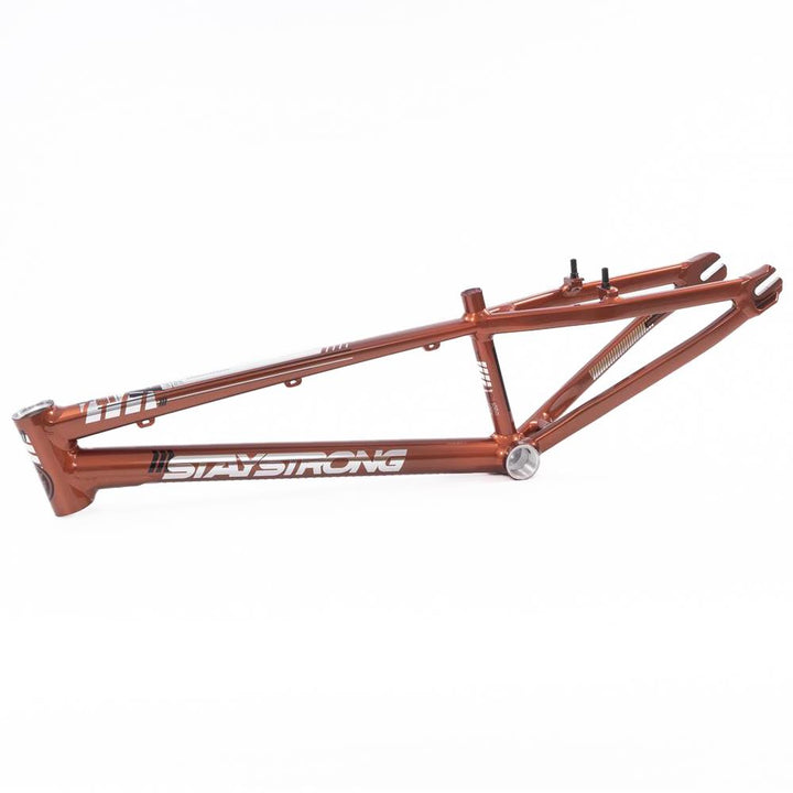Stay Strong For Life 2023 V4 Cruiser Expert XL Race Frame