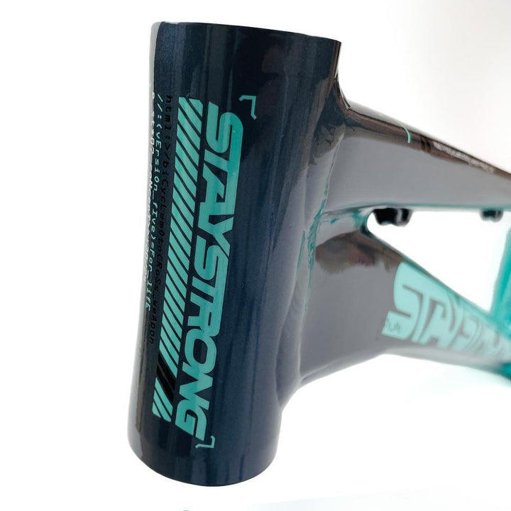 Stay Strong Per la vita 2024 V5 Junior Frame di gara - Disco versione