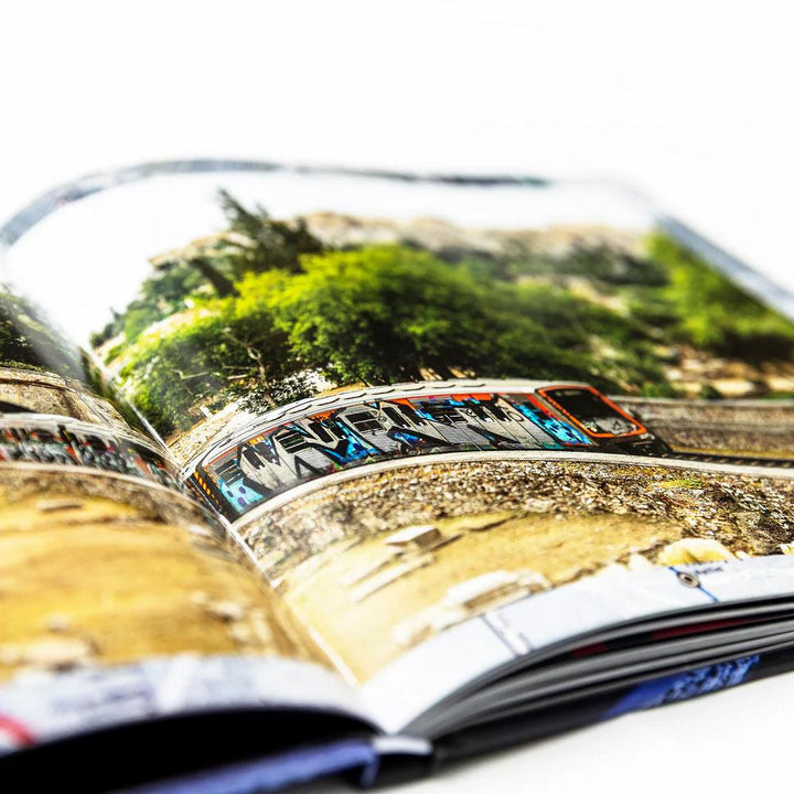 Maintain IV.V - Derailed Book