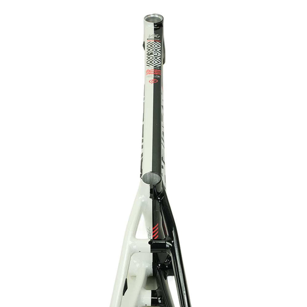 Stay Strong For Life V5.1 Pro Frame