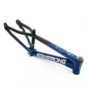 Stay Strong For Life V5 Mini Frame 2025