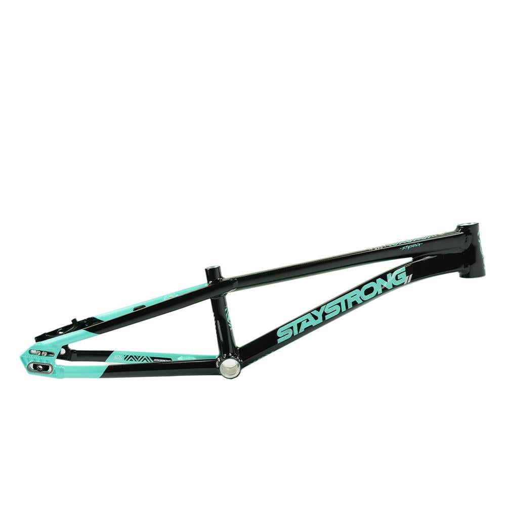 Stay Strong For Life V5.1 Pro XXL Frame – Source BMX - US