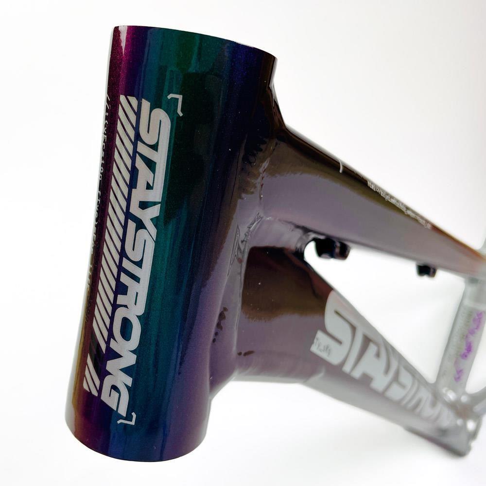 Stay Strong Per la vita 2024 V5 Expert Frame di gara - Disco Telaio