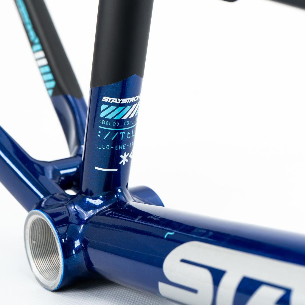 Stay Strong For Life V5 Mini Frame 2025