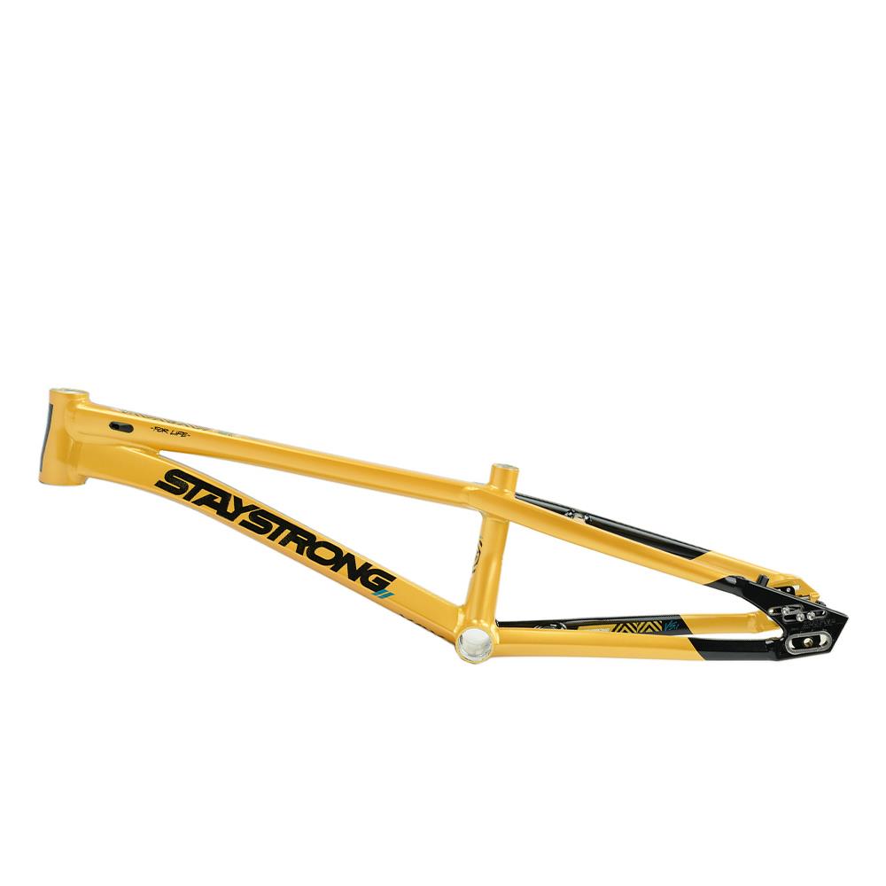 Stay Strong For Life V5.1 Pro Cruiser Frame