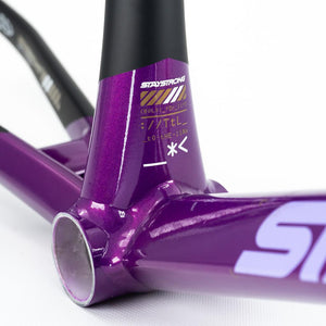 Stay Strong For Life V5 Pro Frame 2025