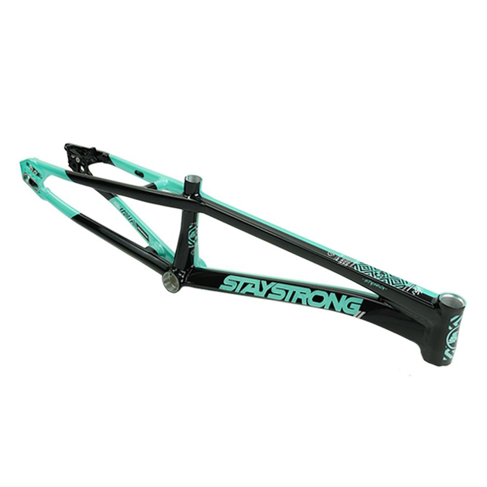 Stay Strong For Life V5.1 Pro Cruiser Frame
